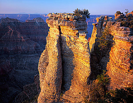 大峡谷国家公园,亚利桑那,美国,柱子,石灰石,边缘,大峡谷,靠近,北缘