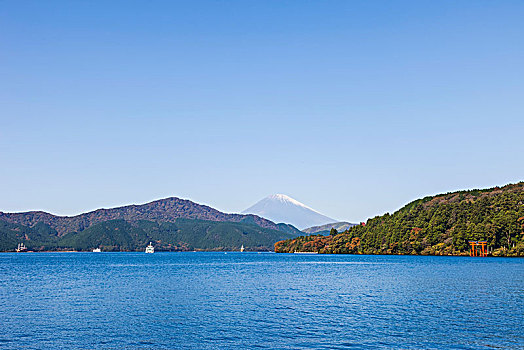 日本,本州,国家公园,湖,山,富士山