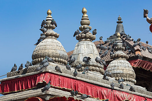 瓷砖,屋顶,许多,鸟,杜巴广场,尼泊尔