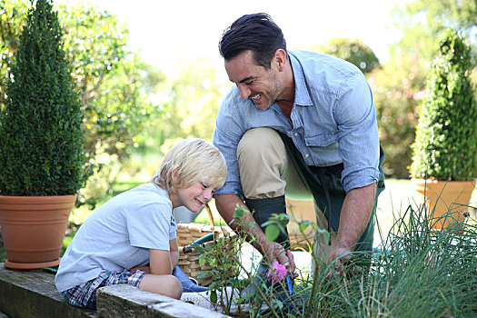 小男孩,乐趣,爸爸,园艺