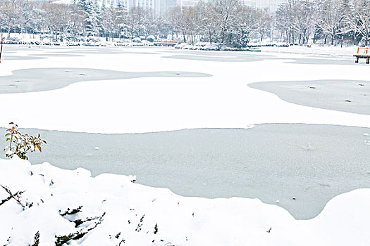 雪景