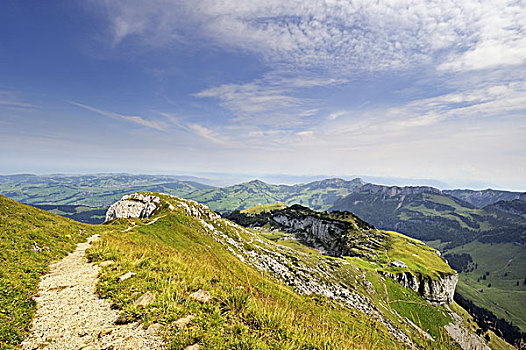 小路,仰视,右边,高山,山,后面,山峦,阿彭策尔,瑞士,欧洲
