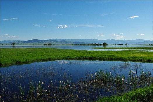 湖,山,靠近,国家野生动植物保护区,蒙大拿