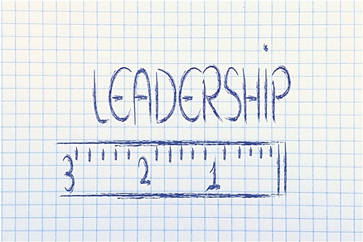 测量,领导