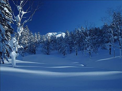 冬天,山