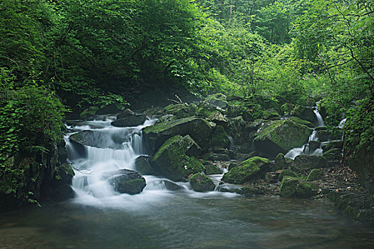 山谷,河流,石头