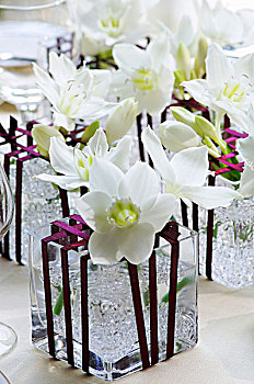 白色,水仙花,桌饰
