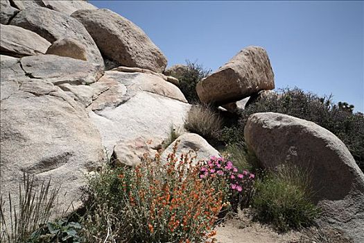 岩石构造,约书亚树国家公园,加利福尼亚,美国,北美