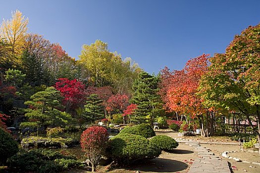 山,陆地