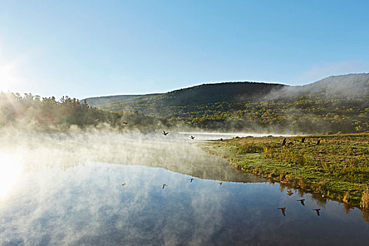 风景,湖,野生,树林,公园,纽约,美国