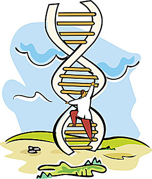 科学家,基因,梯子