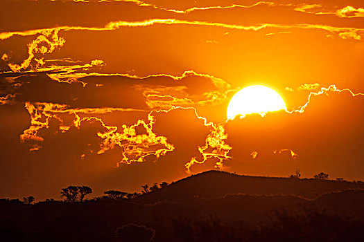 日落,云,上方,沙丘,植物,遮盖,卡拉哈迪大羚羊国家公园,南非,非洲