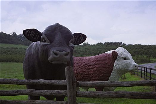 雕塑,母牛,乳牛场