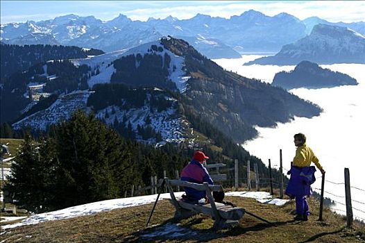 休息,攀升,风景,雾,上方,看,瑞士