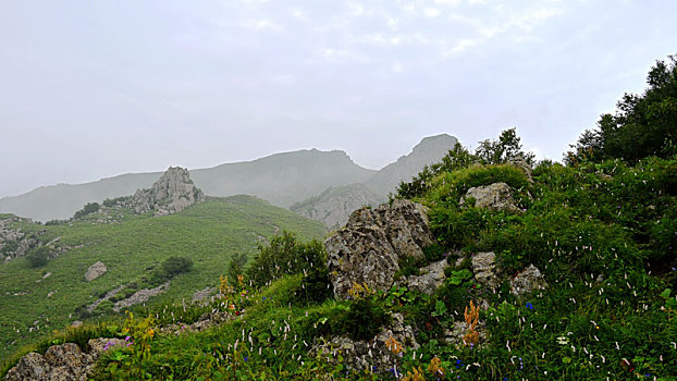 东灵山