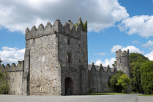 城堡,头部,半岛,伦斯特,爱尔兰,欧洲