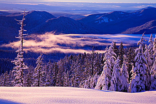 冬天,雪,喀斯喀特山脉,俄勒冈,美国