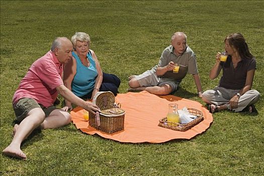 俯拍,两个,老年,夫妻,野餐