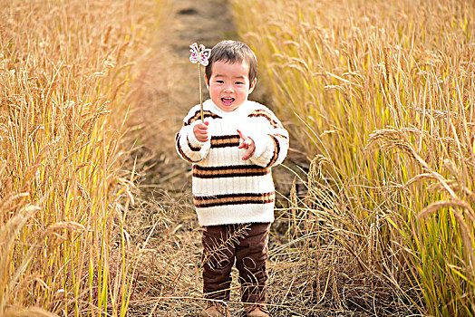稻田里开心的小男孩