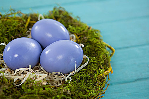 紫色,复活节彩蛋,鸟窝,特写,木质背景