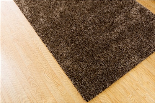 褐色,地毯,在家