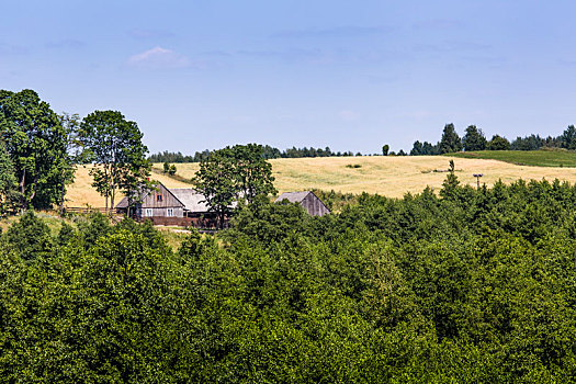 风景,公园,波兰