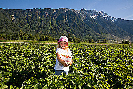 女孩,挑选,草莓,不列颠哥伦比亚省,加拿大