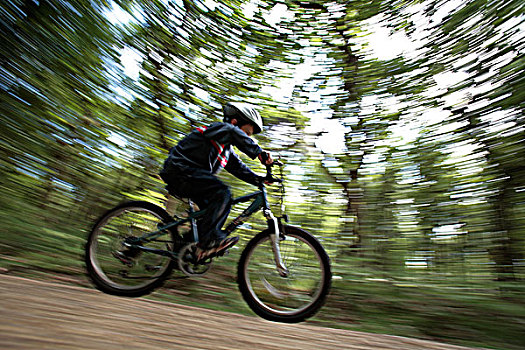 英格兰,汉普郡,新森林地区,男孩,骑自行车,小路,树林