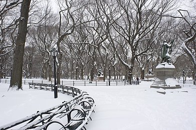 大风雪图片