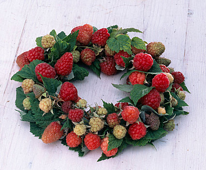 树莓,花环