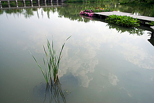 杭州湿地公园