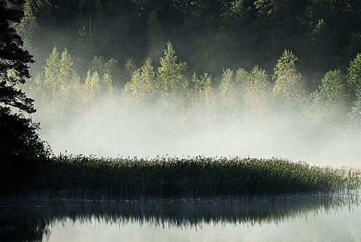 斯堪的纳维亚,瑞典,雾,上方,湖