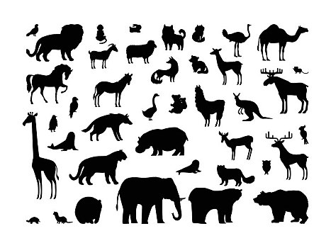 动物,剪影,鹿,熊,狼,虎,狐狸,熊猫,浣熊,兔子,猫头鹰,老鼠,鹰,黄鼠狼,狍子,花栗鼠,大象,长颈鹿,隔绝,白色背景,背景,野生动物,收集