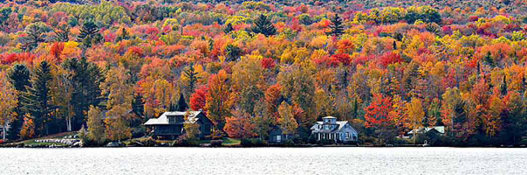 湖,房子,秋叶,山,新英格兰