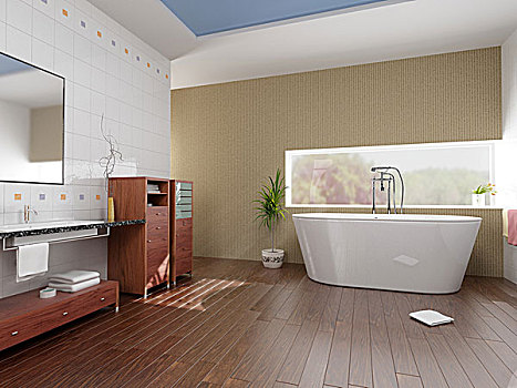 现代,浴室,浴缸