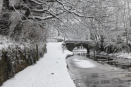英格兰,兰开夏郡,积雪,冰,表面,狭窄,运河