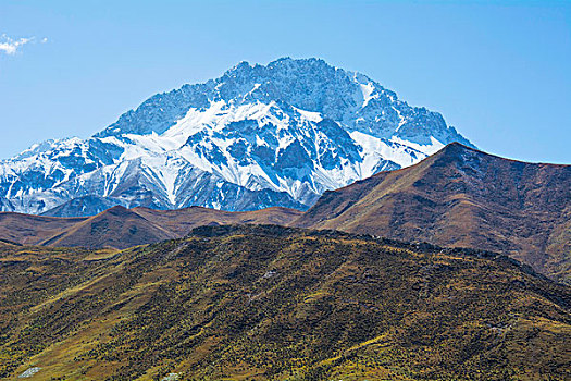 祁连山山麓亚洲最大的半野生鹿基地