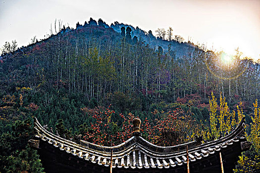 古观音禅寺