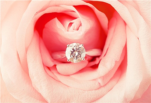 订婚戒指,粉红玫瑰