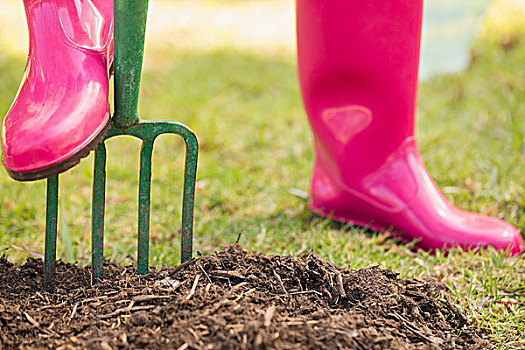 女人,穿,粉色,胶靴,工作,花园,耙
