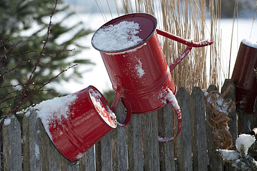 红色,洒水壶,桶,雪,上方,花园栅栏