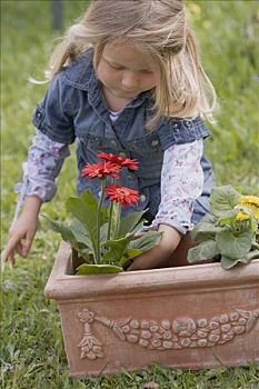 小女孩,种植,花,赤陶,种植器皿