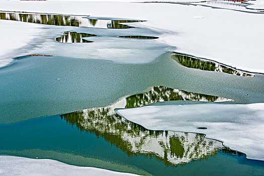 新疆,雪地,河流,冰块