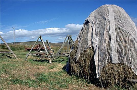 干草,弄干,木质,框架,设得兰群岛,苏格兰