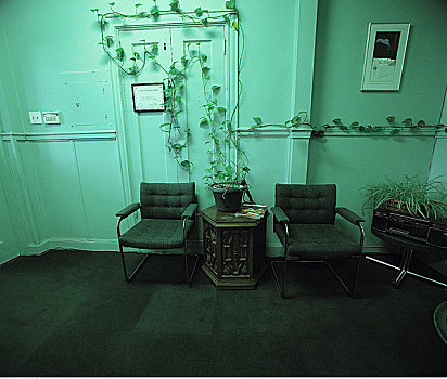 办公室,椅子,植物,墙壁