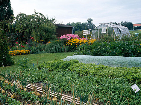 花园,蔬菜,床,花坛,温室