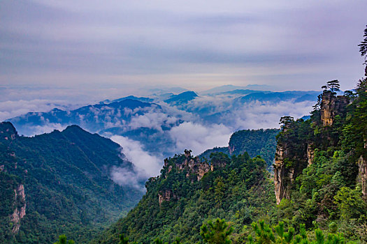 天子山