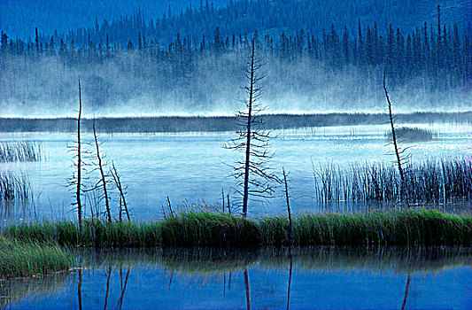 薄雾,上升,湖水,碧玉国家公园,艾伯塔省,加拿大