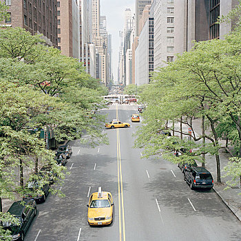 街景,纽约,黄色,出租车