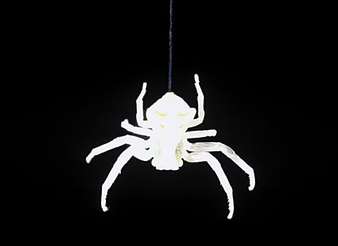 蜘蛛,悬挂,蜘蛛网,剪影,黑色,背影,巴塞罗那,西班牙